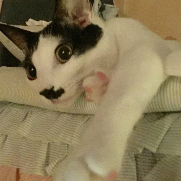 36916632 d1b8 47c7 ae0f 2915408d7308