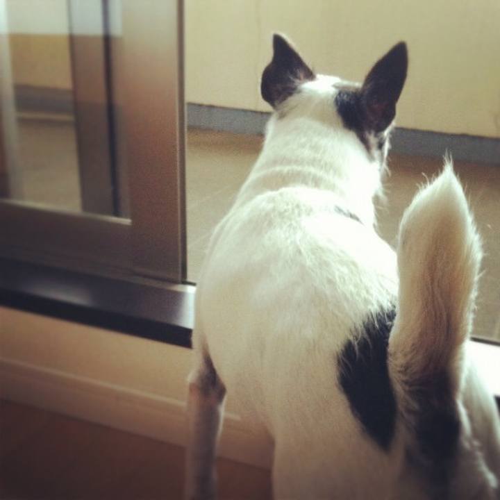 3691e695 db3e 46f0 b033 451509a3f77d