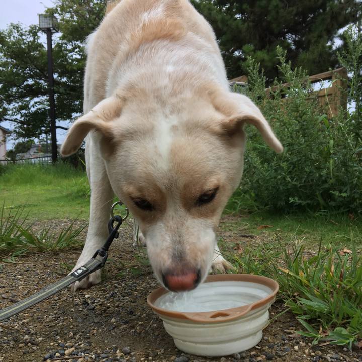 3691fe68 d7c0 4780 a178 8e2071da9e1a