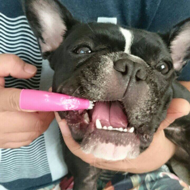 369239ce f734 4c96 be21 3d0d7de17fd9