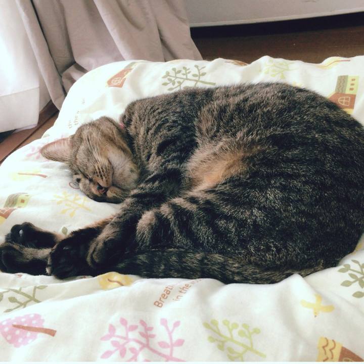 369266d6 fa43 44bb b688 5a00aeea1cfc