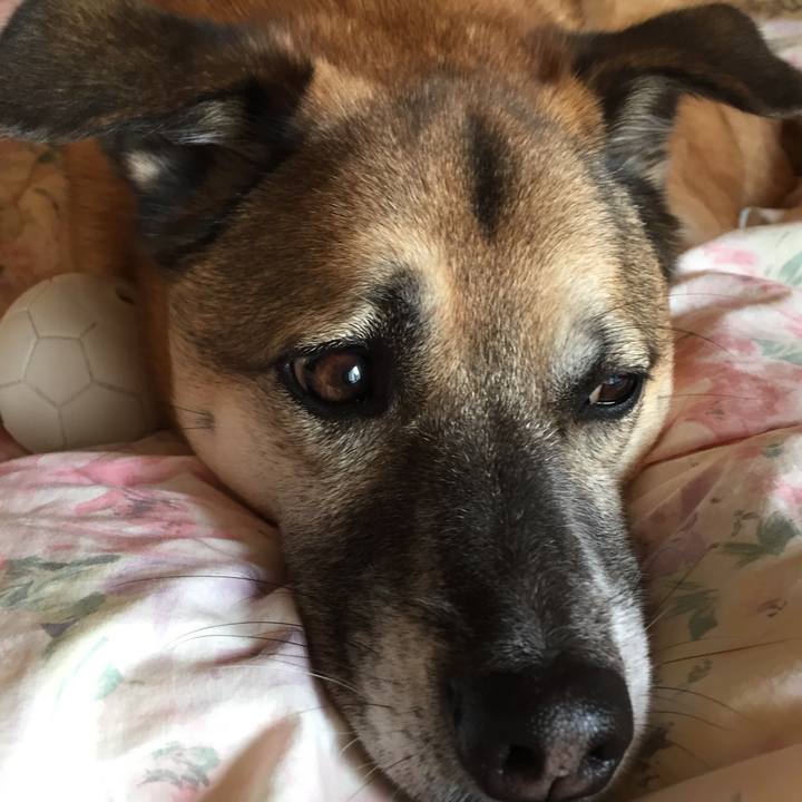 3692a390 2b72 4f29 8753 039a1f9b4323