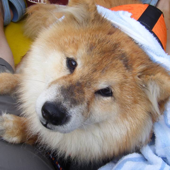 3692f97e eed5 4970 bc68 691cb0e399e6