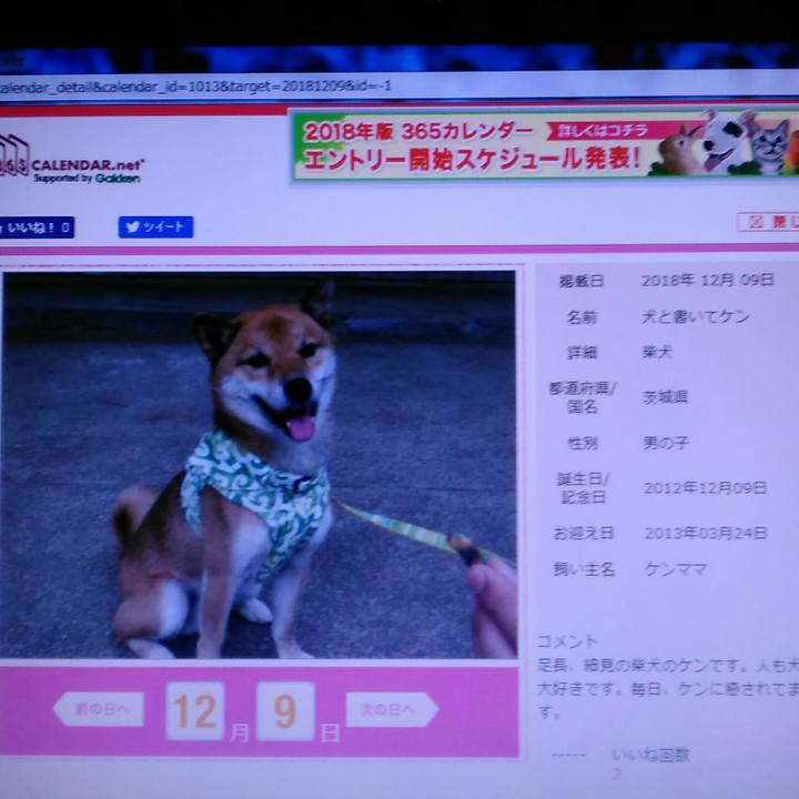 36932502 8dd9 4674 a75c 6693523b5897