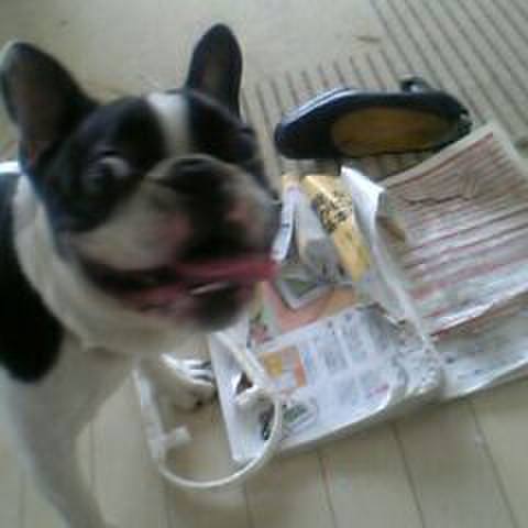 3693ad84 f2e1 420d 9c1c 8fe35c54460c