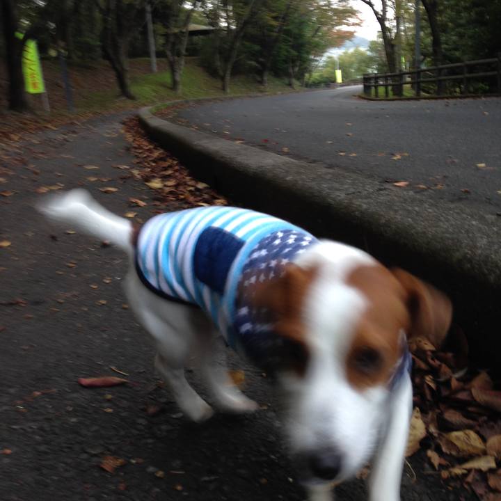 3694f096 cf11 4a3e 8167 c7bc743dbf79