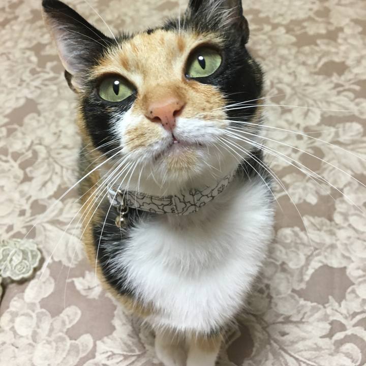 36963d6c 6ede 4c45 8ea6 b3676b526d87