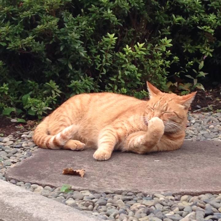 36964683 8766 45b3 94cc 46a216bf7f5f