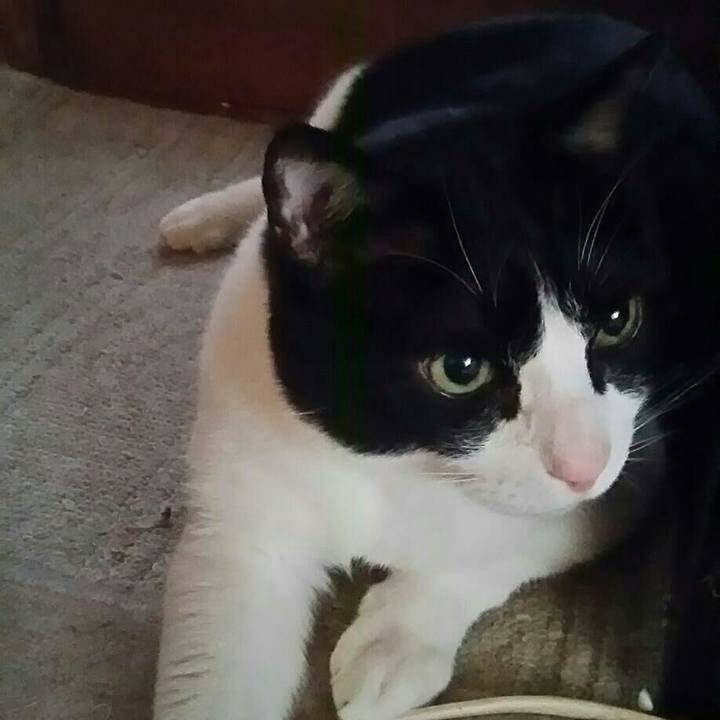 36979d07 5785 4467 80e5 9fbc5b2e2d46