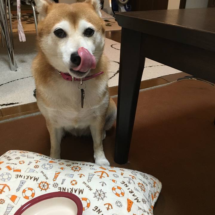 36979fc0 7235 464b a9a7 9672aa97eb79