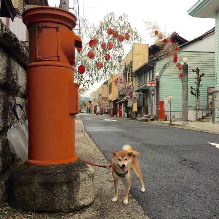 369812fd 2989 48e4 9654 099a6eba9740