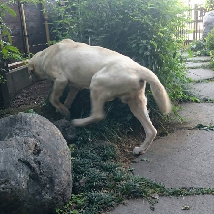 369881e5 b508 4c8c 9d5d 2cc71fd1cf41