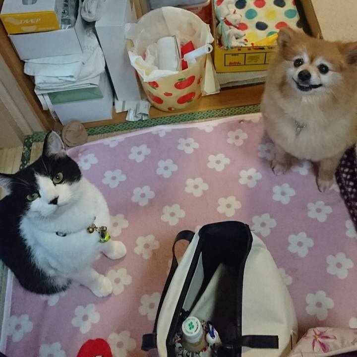 3698a5fa 7336 4ccc 9fe9 087c9bd6e6ba