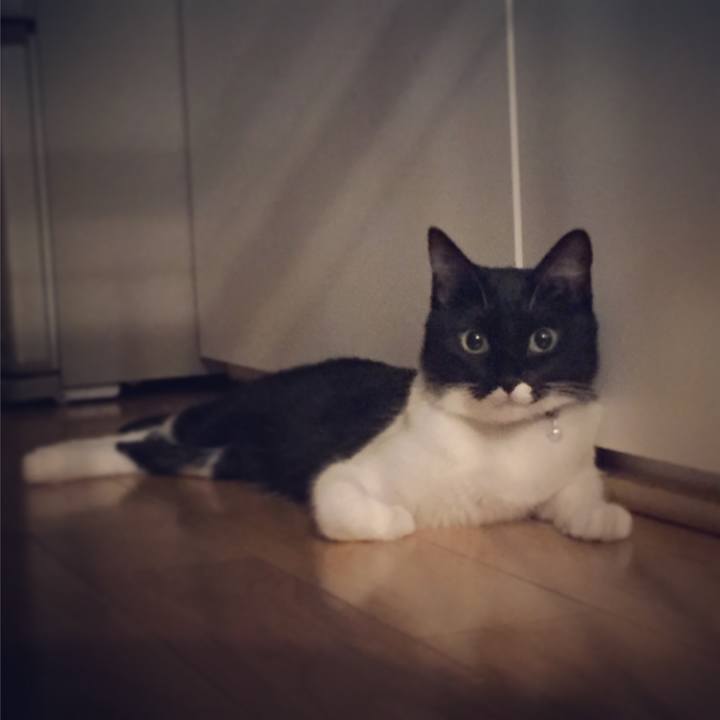 3698b5c0 c353 4701 b261 bd3bcac05419