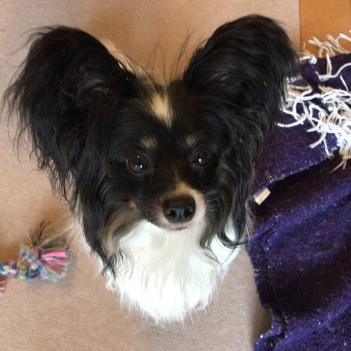 369979b9 03d9 4202 8ab4 a2613ecdb295