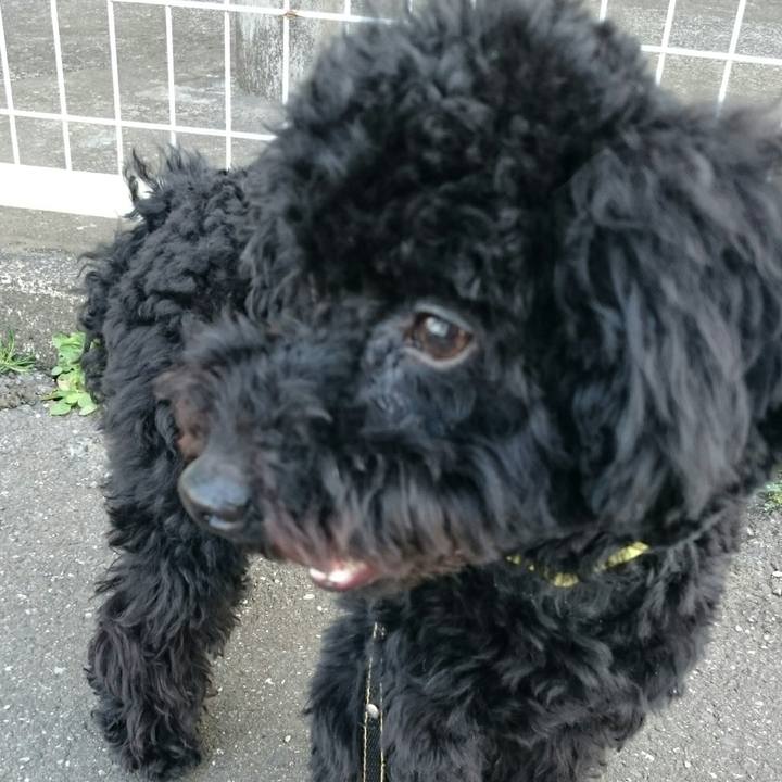 3699af8e 6bf6 42a6 b178 25ce2d8fb7c4