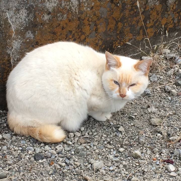 369a20e5 8a1e 4602 942b d6a3bf44c2eb