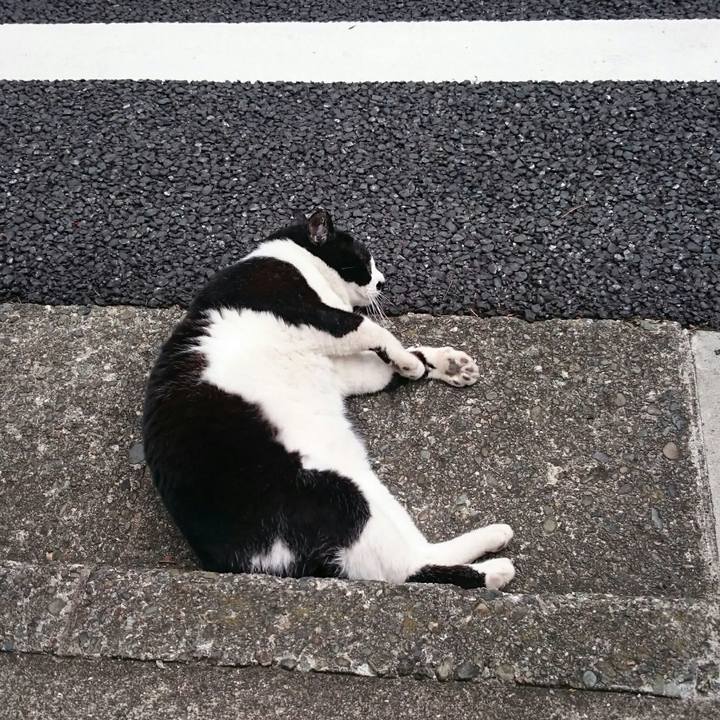 369a32e0 45ac 4639 a702 4ef8cea2b052