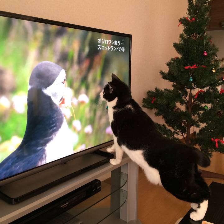 369a7b32 3a92 41f6 9c29 681d7a64139e