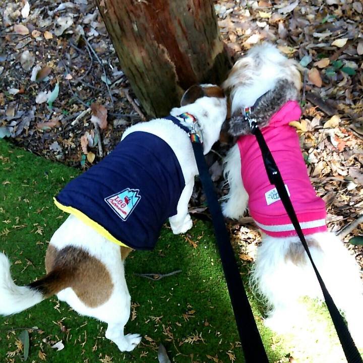 369aa9ab f1a5 415b b4ed 48868b31e44e