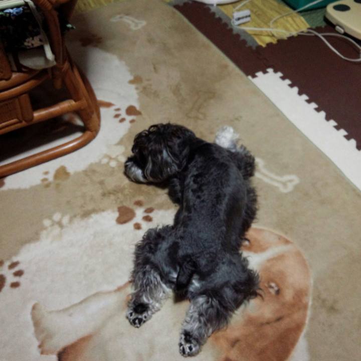 369b7187 cc42 4bf9 85e2 3490e93992df