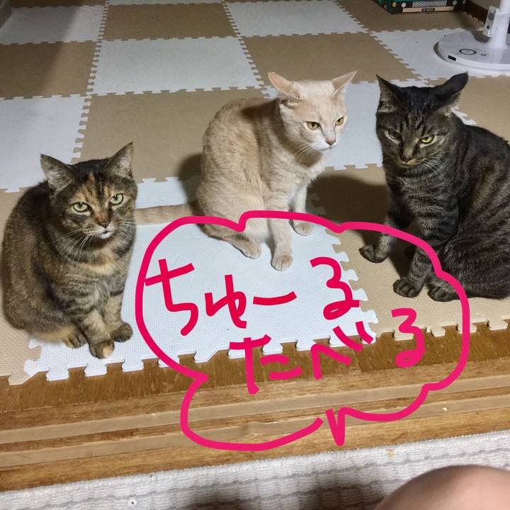 369bda9a 8961 4d1a a4ae 453decc108a1