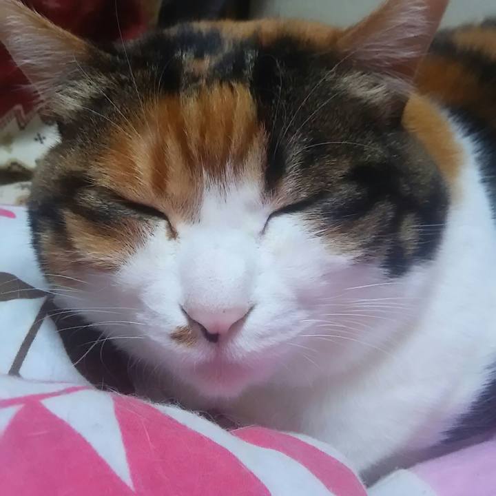 369c08cd 27cf 4dc6 b187 396238d92304