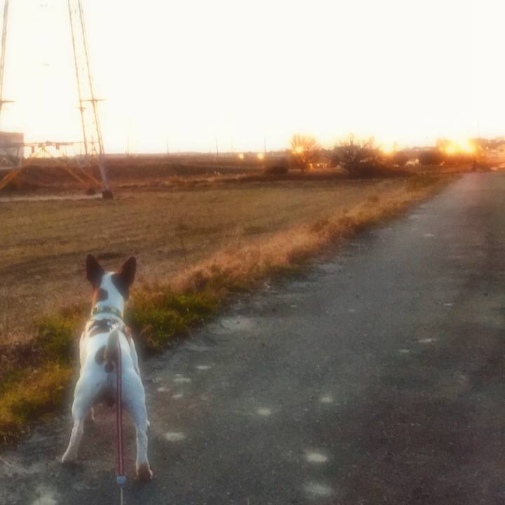 369c1106 3558 4376 8438 a697522992c2