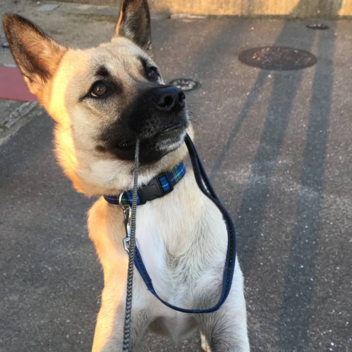 369c2dd0 1eed 4f96 8662 ccc5eebccc26