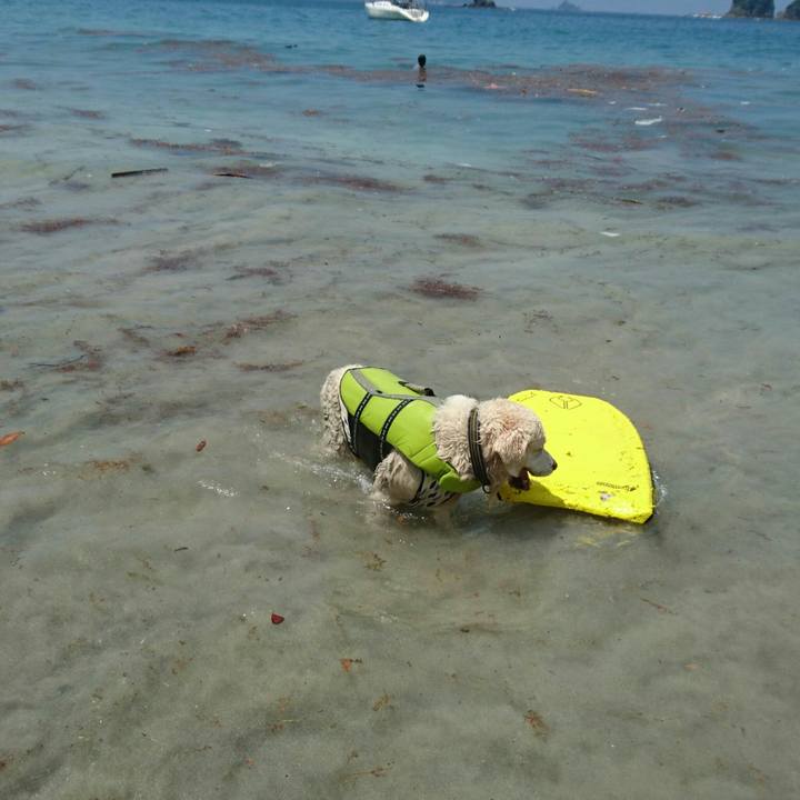 369ca1fd 3871 47b4 ae53 2588586811cc