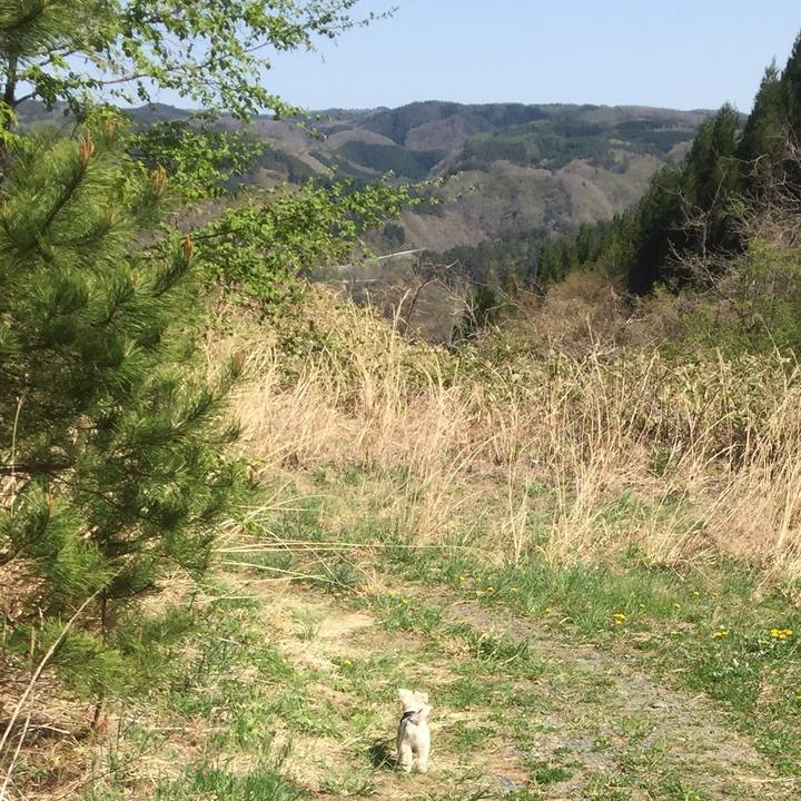 369cdd78 db66 4e58 946f 402e28fad6d5