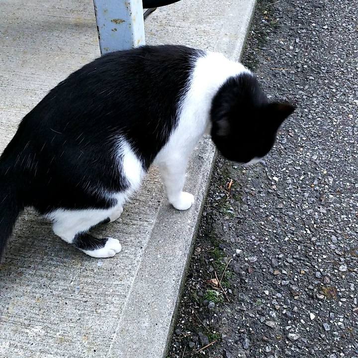 369ce6e8 61b1 4790 99dd 6defd586e22f