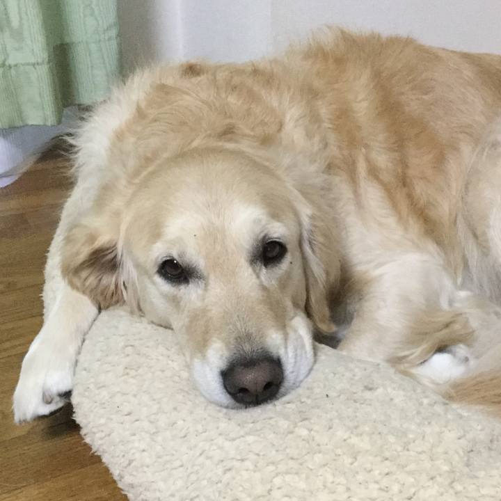 369d4f01 73df 44a0 9b6a caba883f9a77