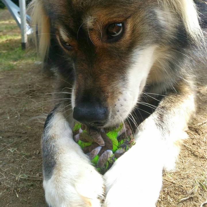 369ee847 683c 47eb b11b 4d635ed7fdf0