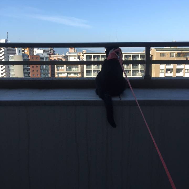 369ef68b 9030 4cca b196 c17a1213ae68