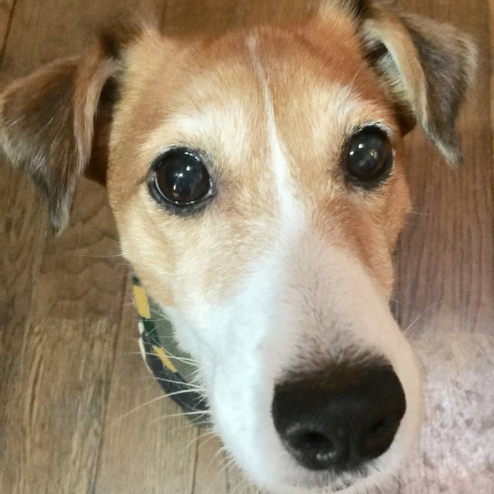 369fc75f d56a 42ec b567 91ce7470413b