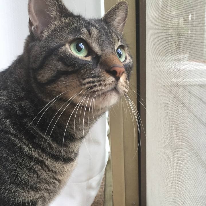 369fea0a f442 4318 aff6 3a6ab28f2676