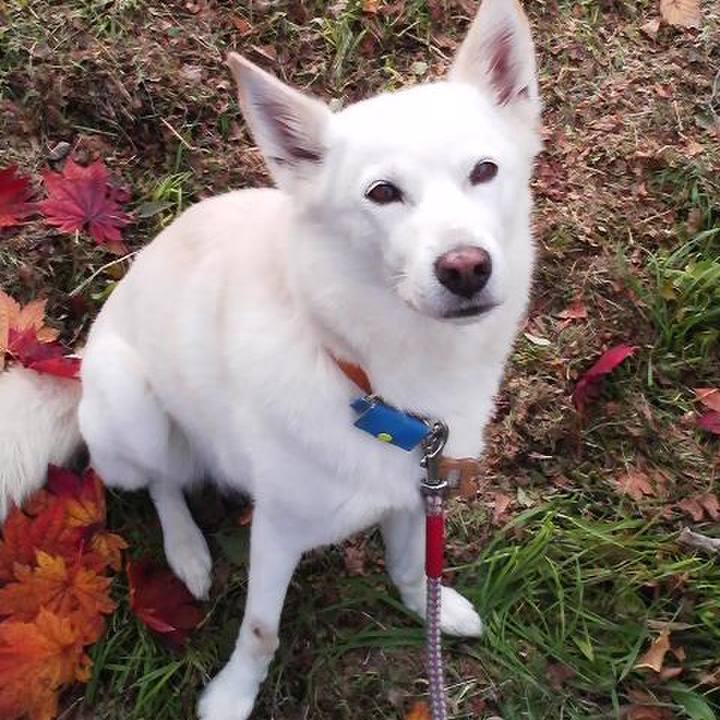 36a0282a 122d 49d4 85bd 1a0ce1609cb3