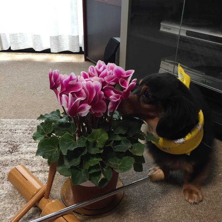 36a02aa2 50a0 4dfe a9a8 f6ff7617c6c4