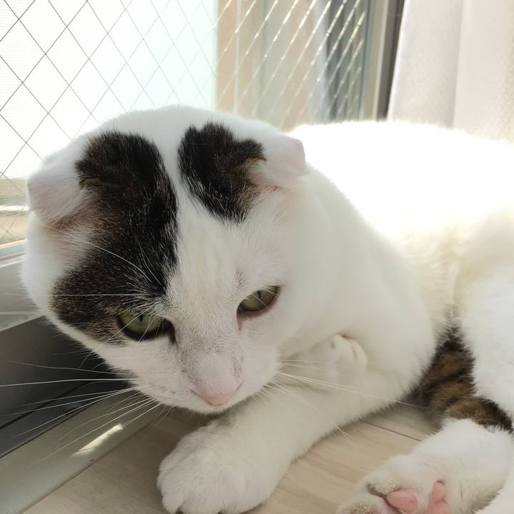 36a06374 d6b0 45bf 8598 b0ce9c21f20b