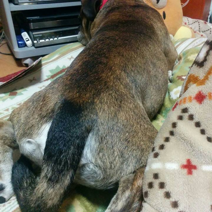 36a0a92d f22d 4ccf 9a57 c5f0e7e24246