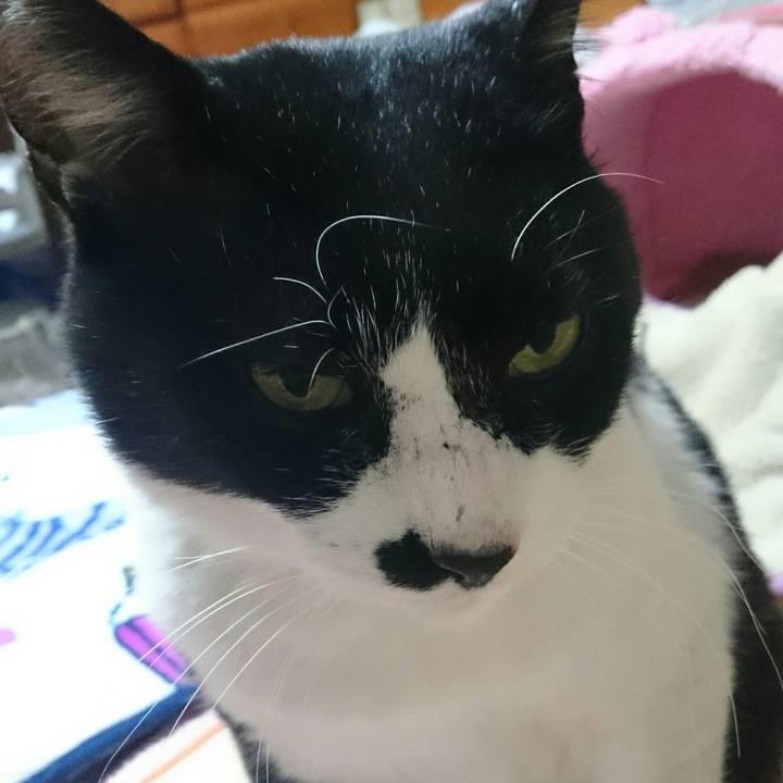 36a1000d 62f6 4323 aa04 9eeb3853479b