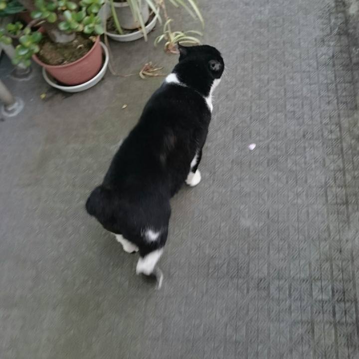 36a1003e f434 42a2 bed0 1776a2844357