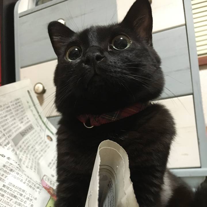 36a166da cfed 41b4 9136 0757a4c6fe08