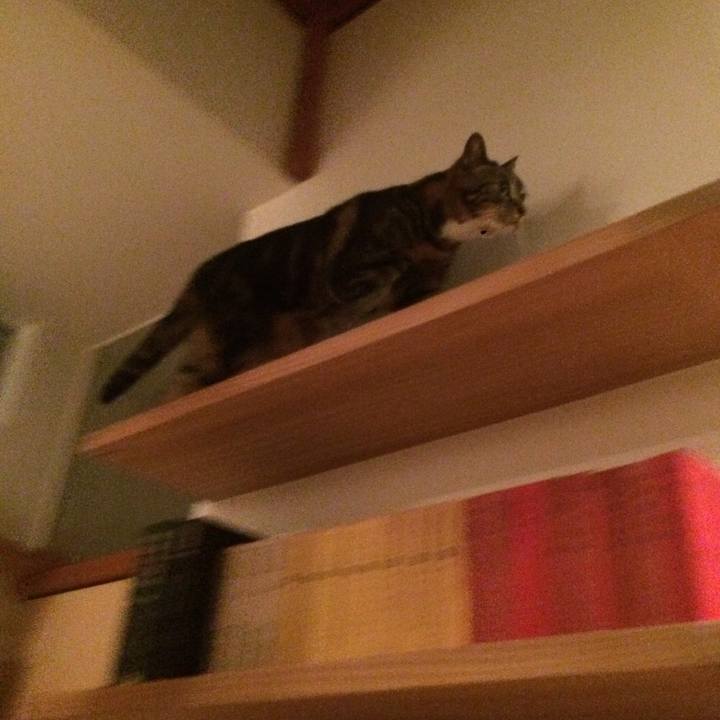 36a1fe47 b6c3 4152 9352 4a51e56b020b