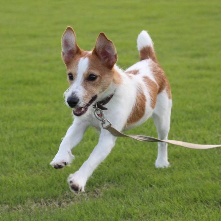 36a25d31 99c5 4bca 8bf4 bae284d70360