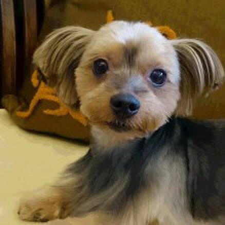 36a30fae 20b7 45fc 9919 00f9bccedbe9