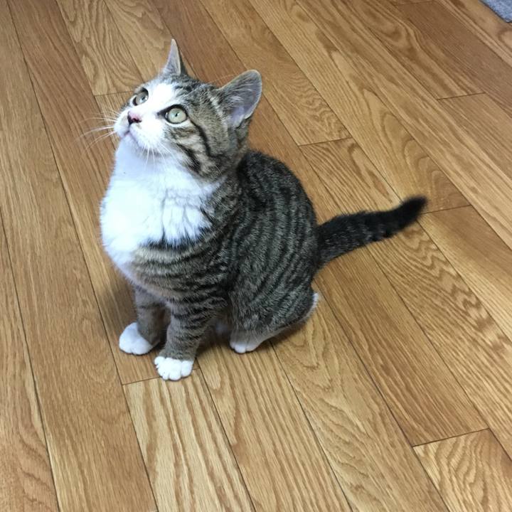 36a31b95 bba2 4b8c 9489 99b66871d496