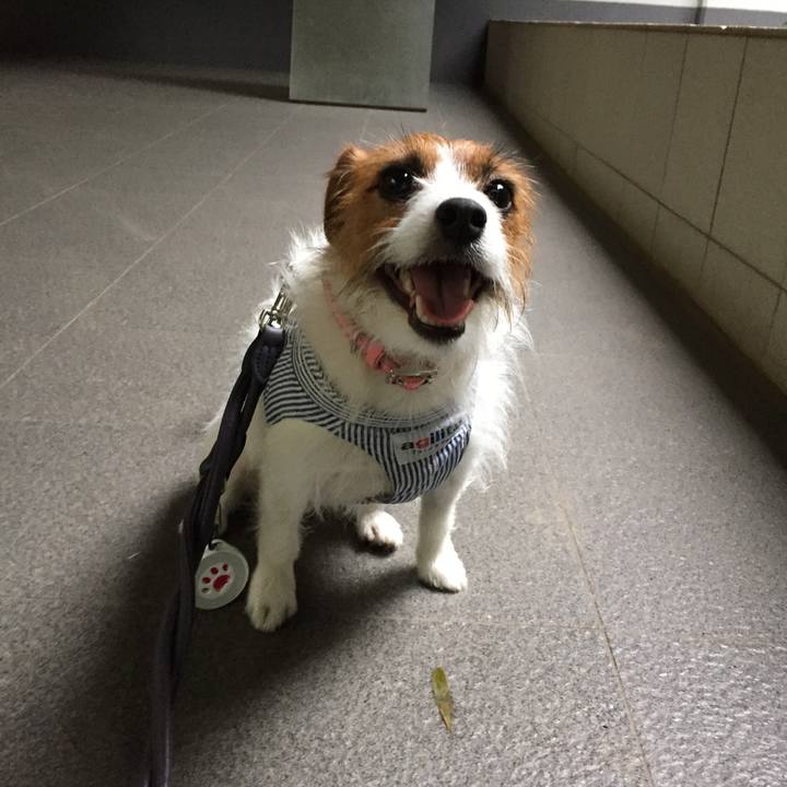 36a33fe7 2c4e 4134 b0d4 63c82f145ff0