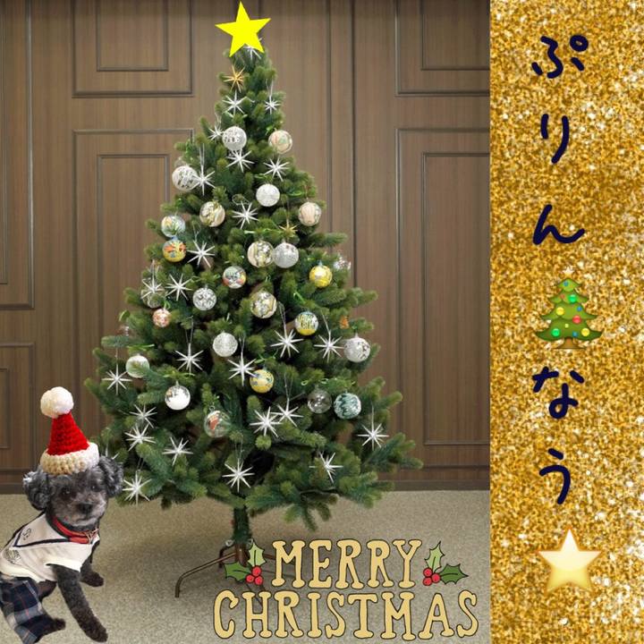 36a3c53f 13fa 47cc 9302 ed575cafa9f9